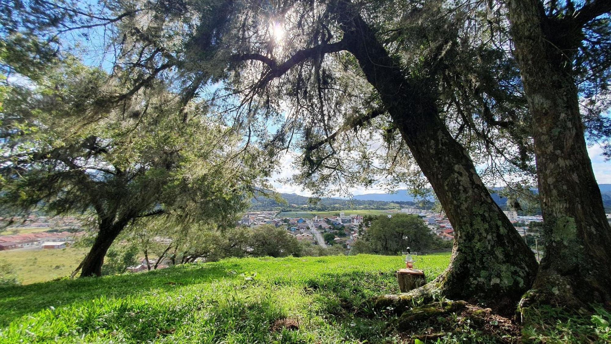 Cabana Canto Lindo - Urubici-Sc Eksteriør billede