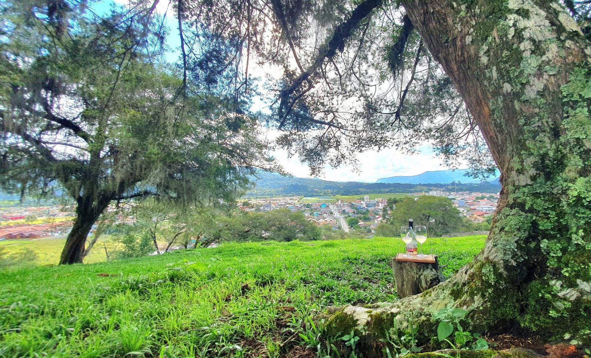 Cabana Canto Lindo - Urubici-Sc Eksteriør billede