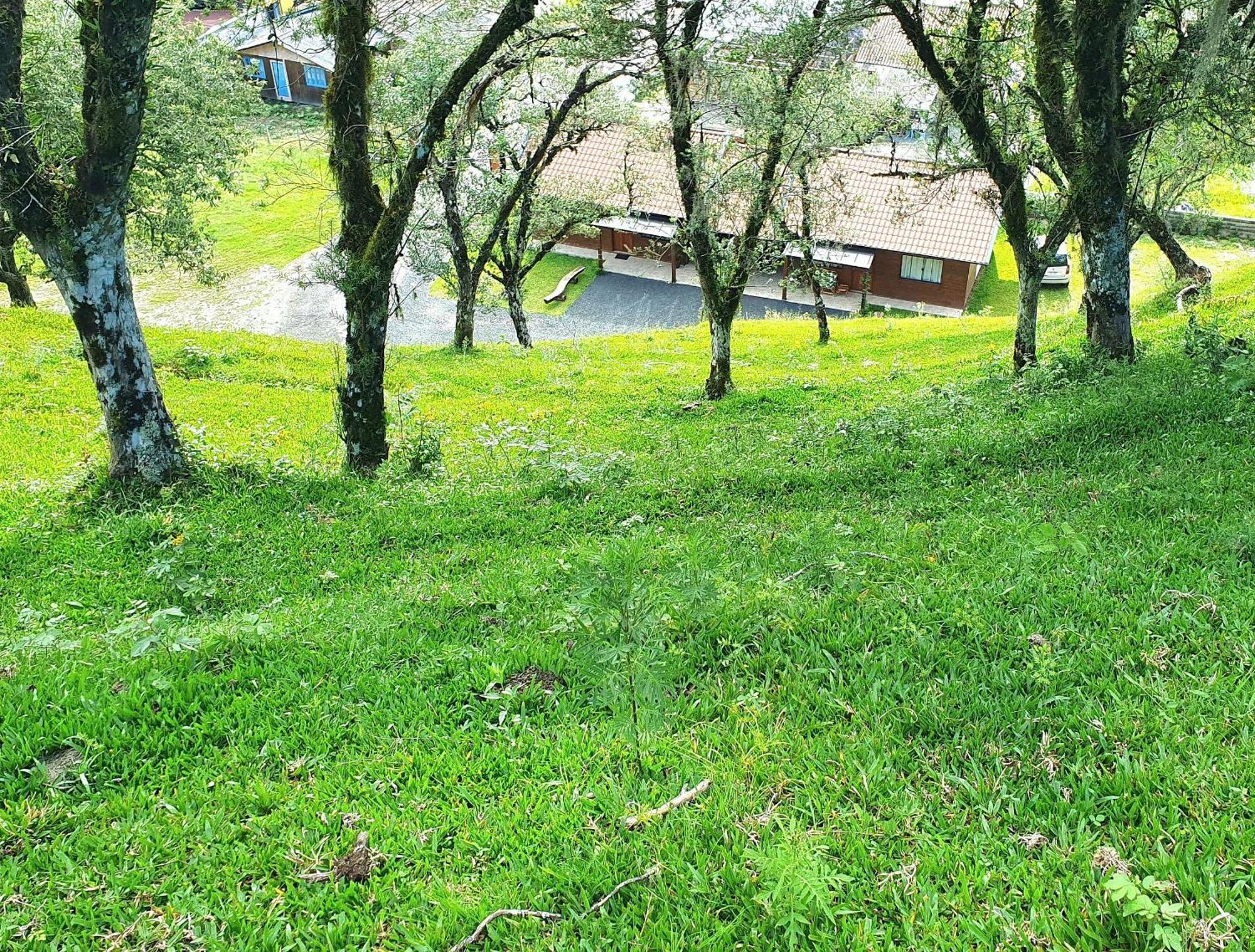 Cabana Canto Lindo - Urubici-Sc Eksteriør billede