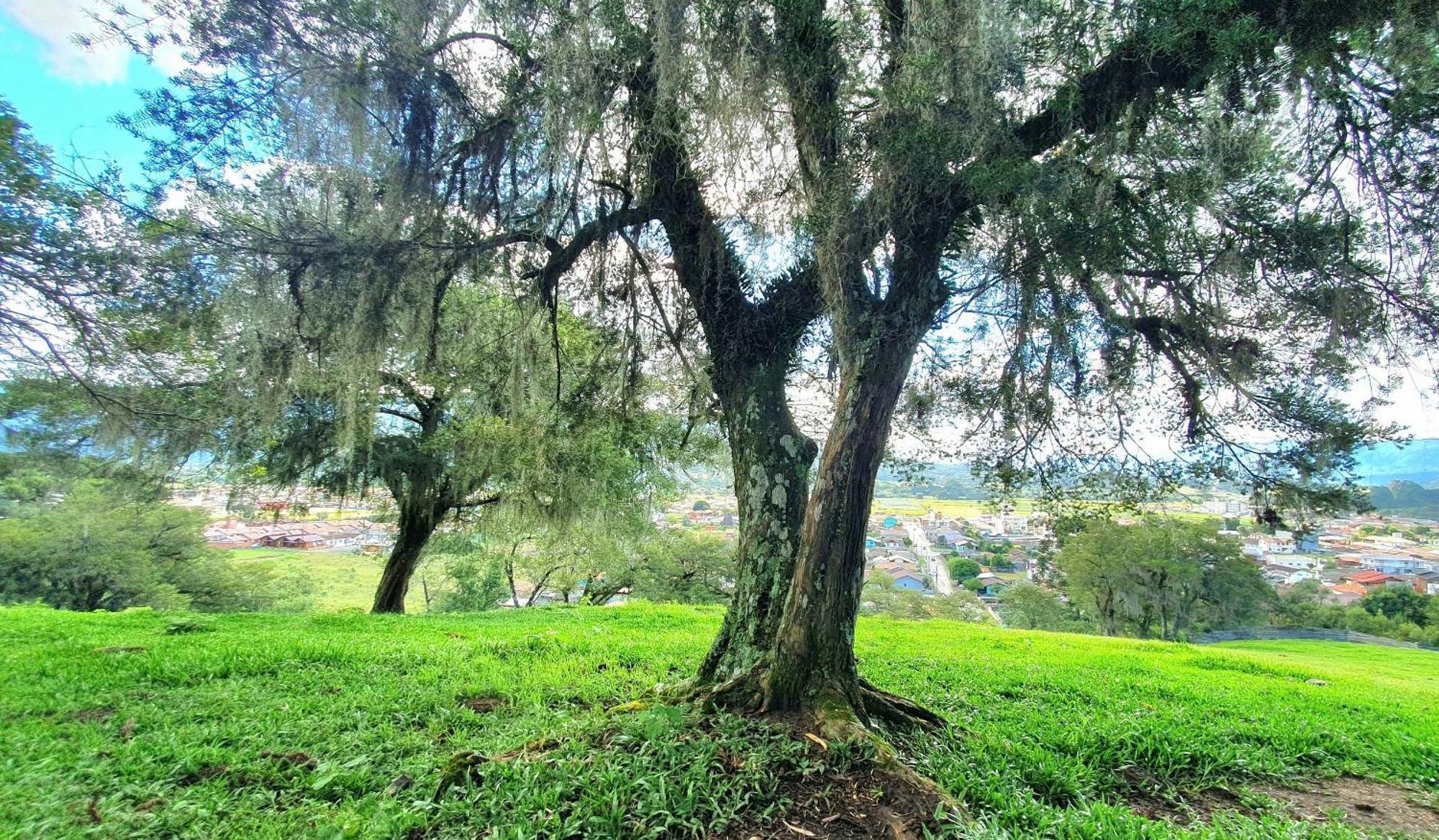 Cabana Canto Lindo - Urubici-Sc Eksteriør billede